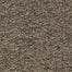 Franchise in Sandstone Carpet