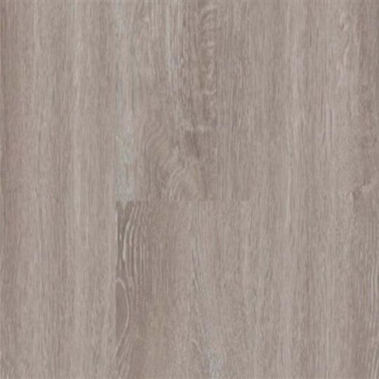 Timeless Plank in Timeless