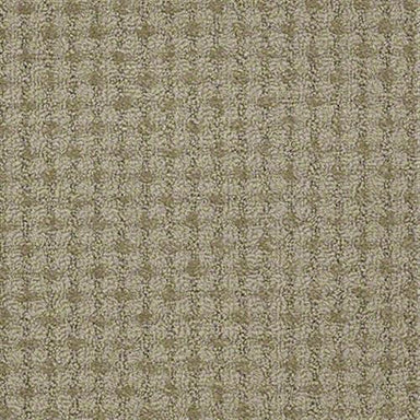 Sp686 in Colonial District Carpet