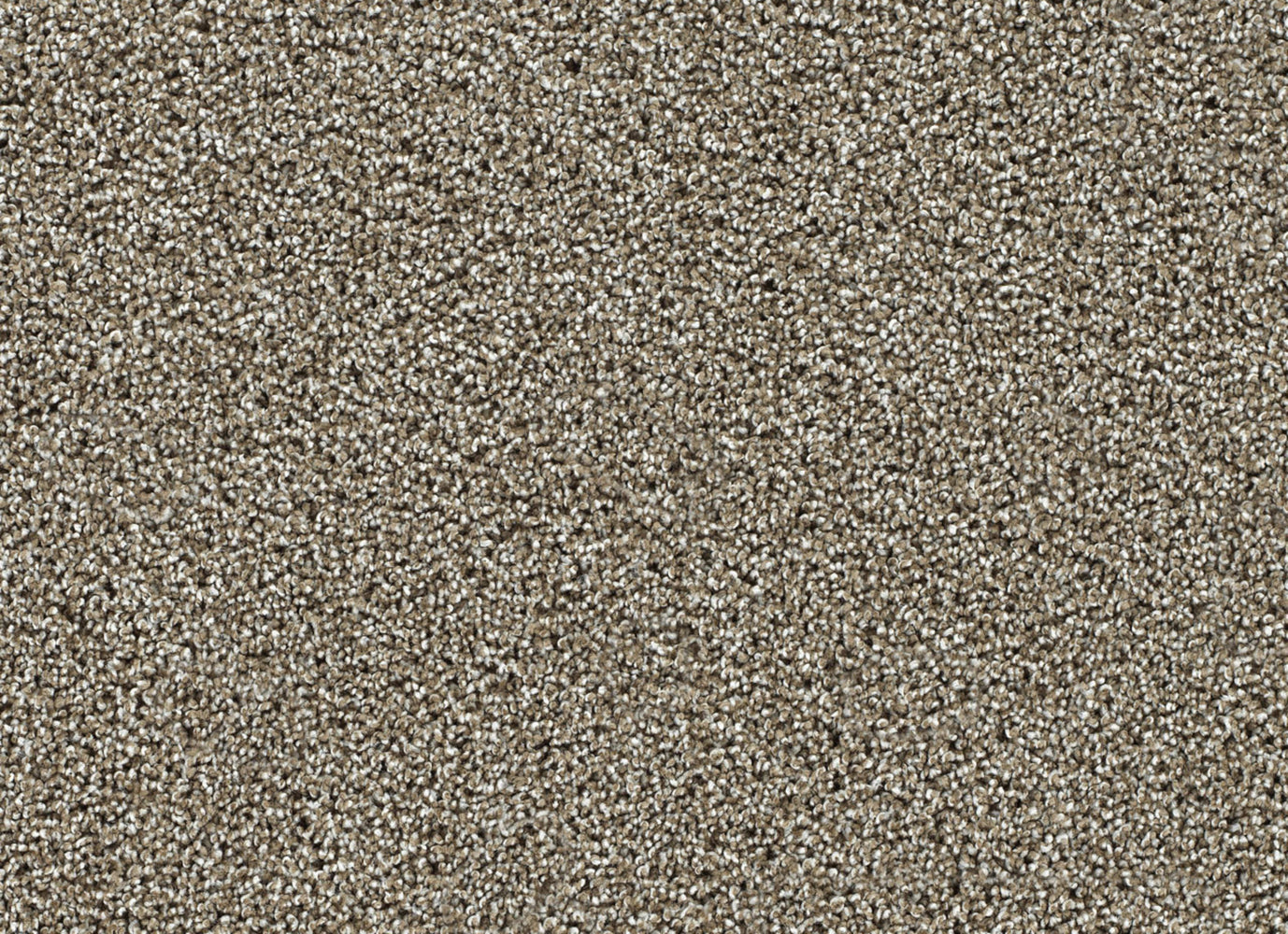 Captivating I in Rich Walnut Carpet
