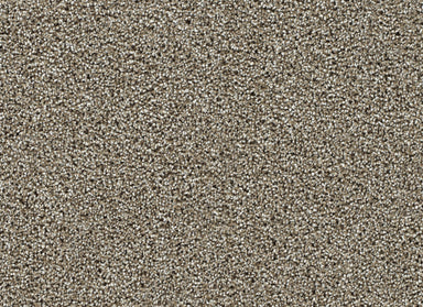 Captivating I in Rich Walnut Carpet