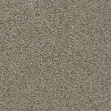Rich Walnut