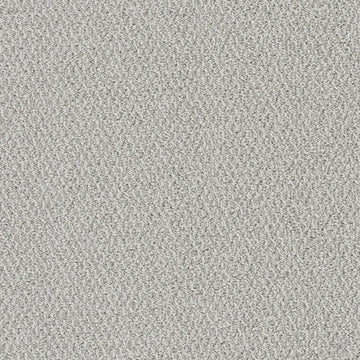 Nautilus