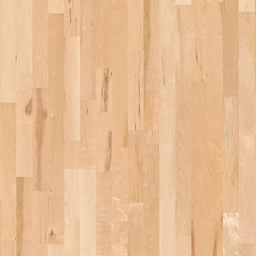 Live Matt in Maple Canadian Strip