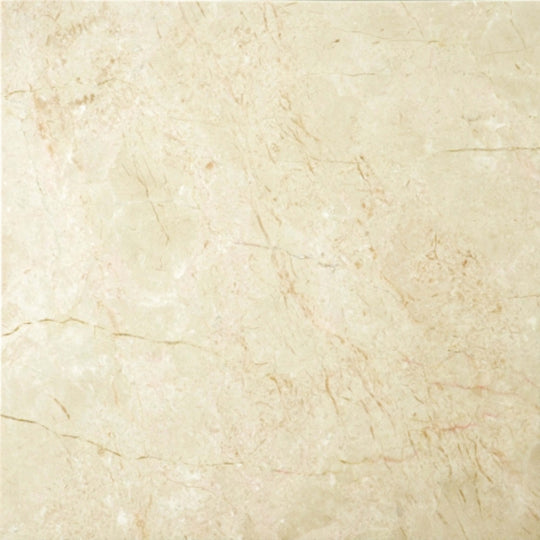 Marble in Crema Marfil Plus 12" X 24" Honed