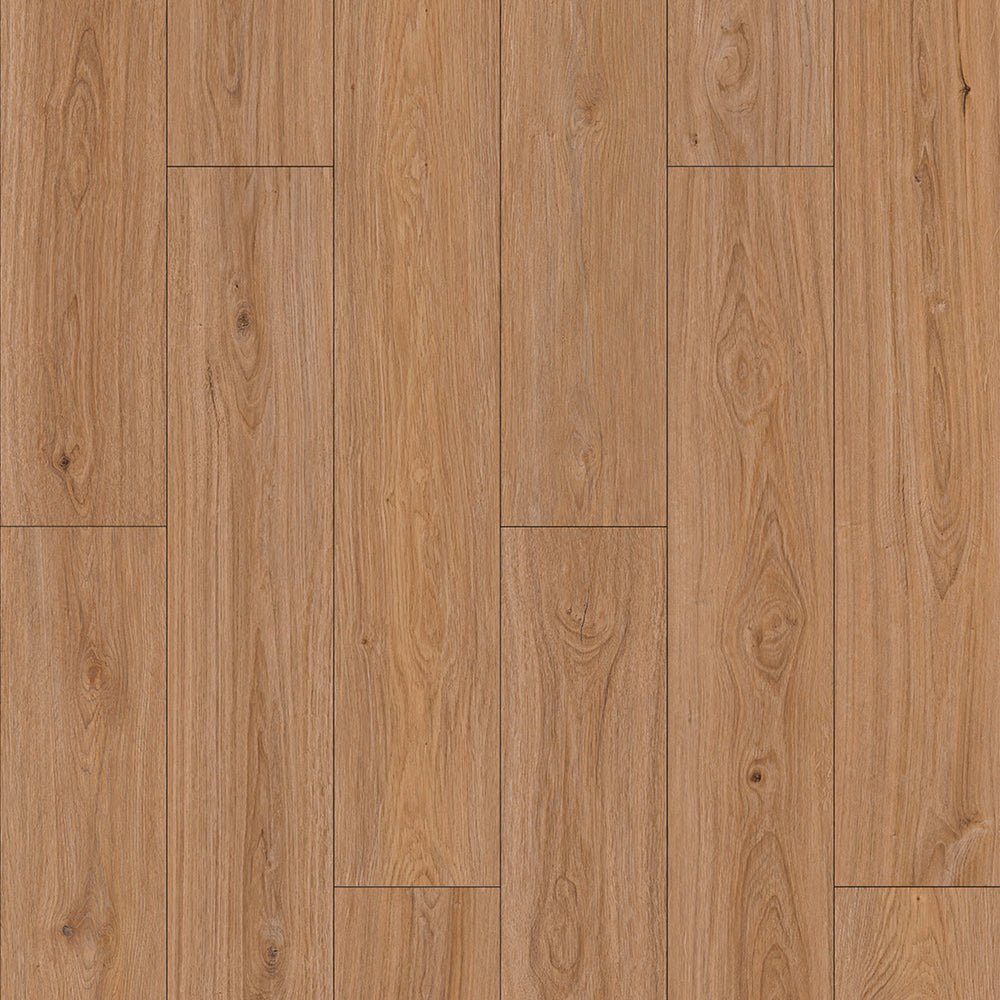 Resurge in Winston Oak Laminate