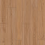 Resurge in Winston Oak Laminate
