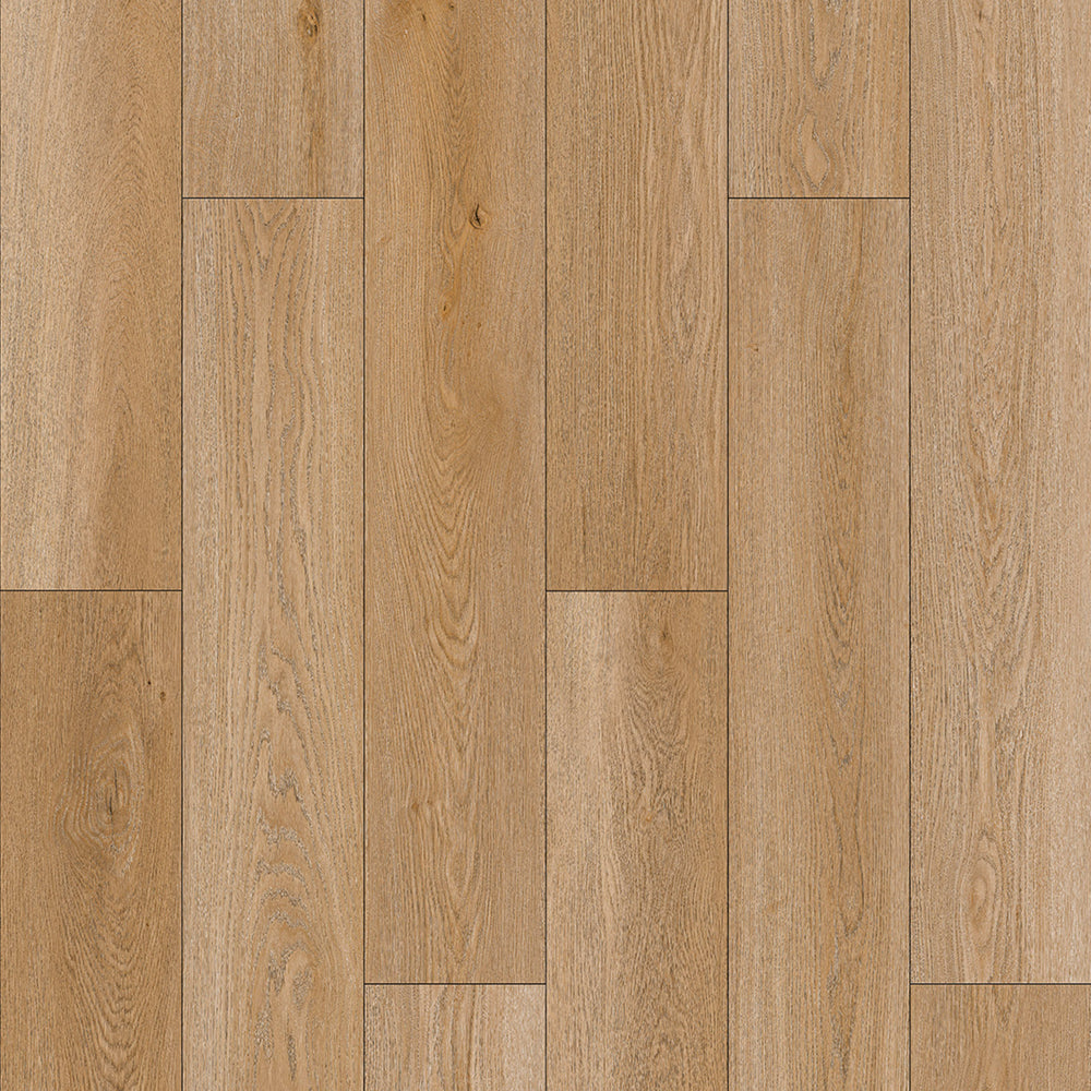 Resurge in Thompson Oak Laminate