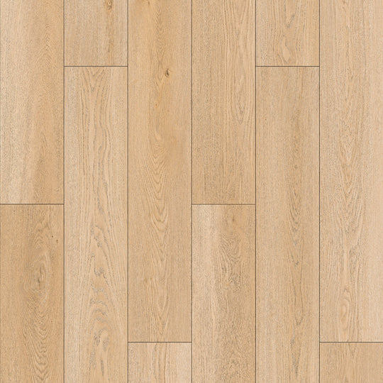 Resurge in Sylvan Oak