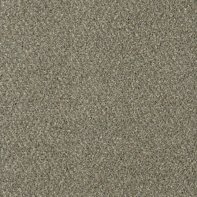 Acclaim in  smooth Sailing Carpet
