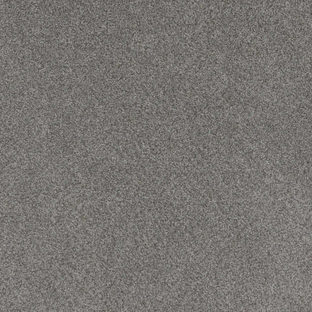 Beach Club I in Palazzo Carpet