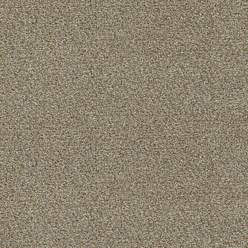 Toasted Oat