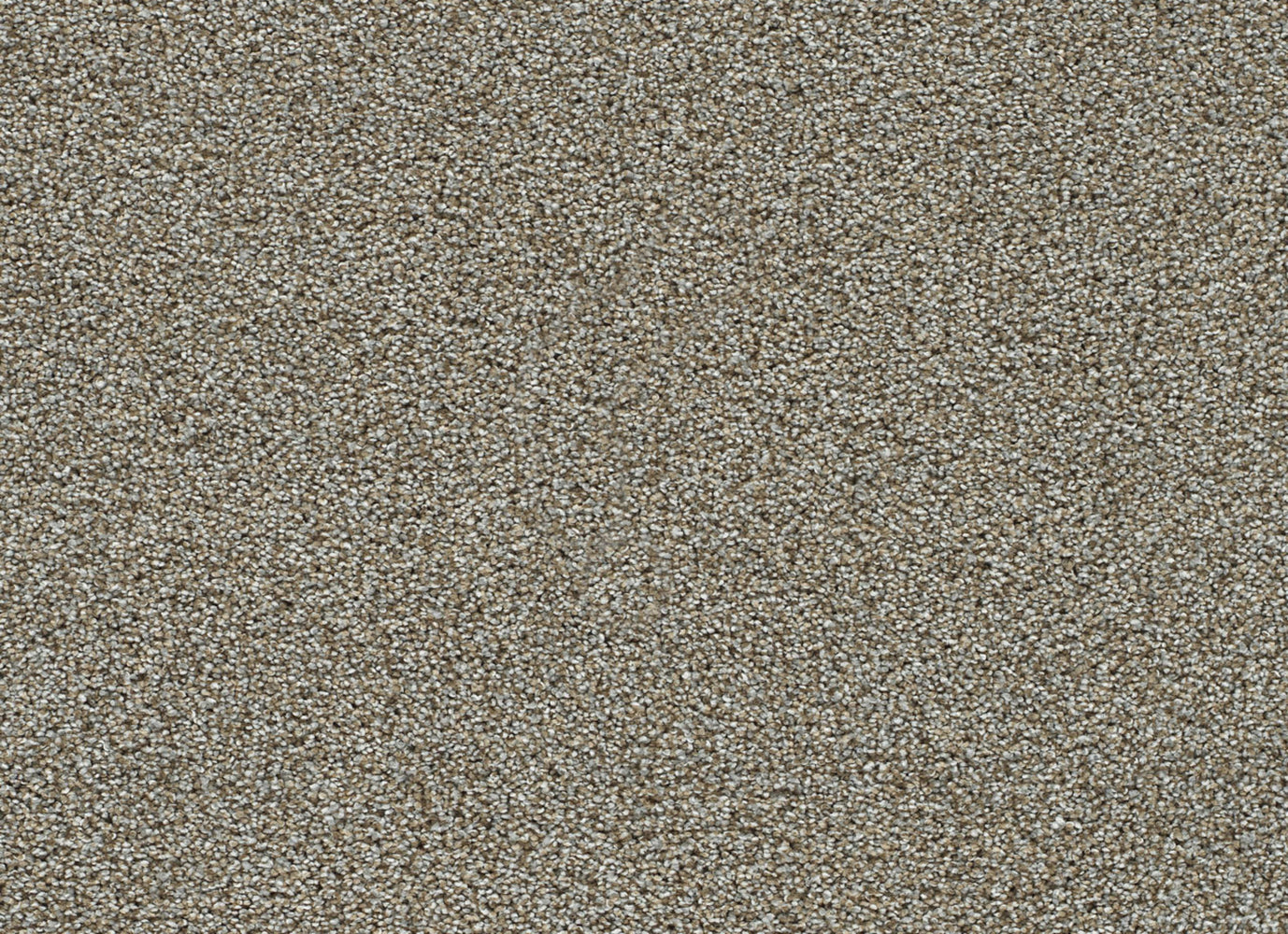 Clearwater I in Iron Gate Carpet