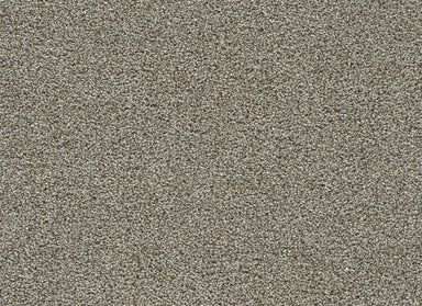 Clearwater I in Iron Gate Carpet