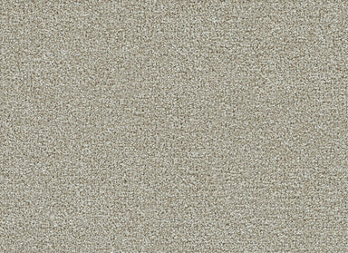 CLEARWATER II in Barnwood Carpet