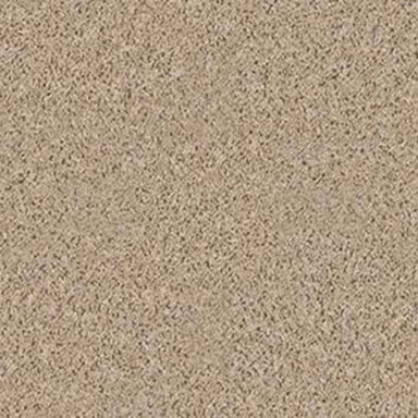 ARTISTIC DESIGN (S) in Pebble Carpet