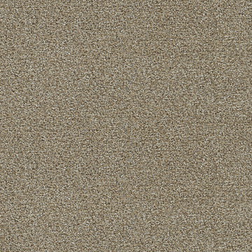 Toasted Oat