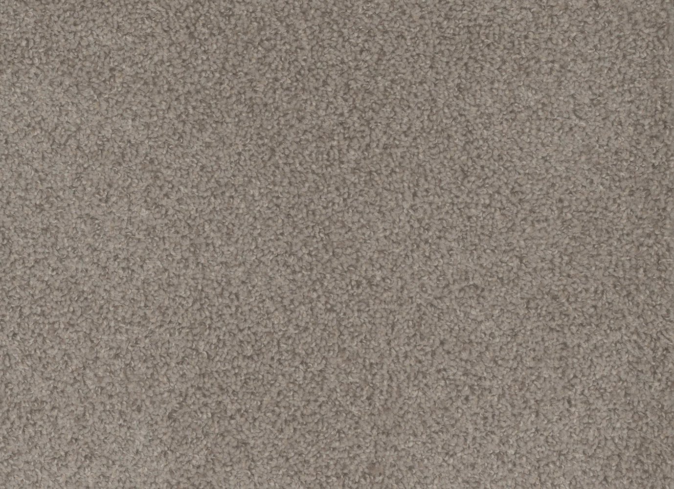 Step Up in Cinder Carpet