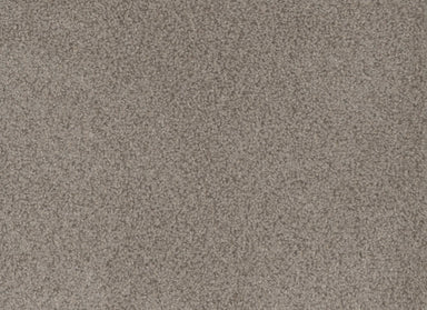 Step Up in Cinder Carpet