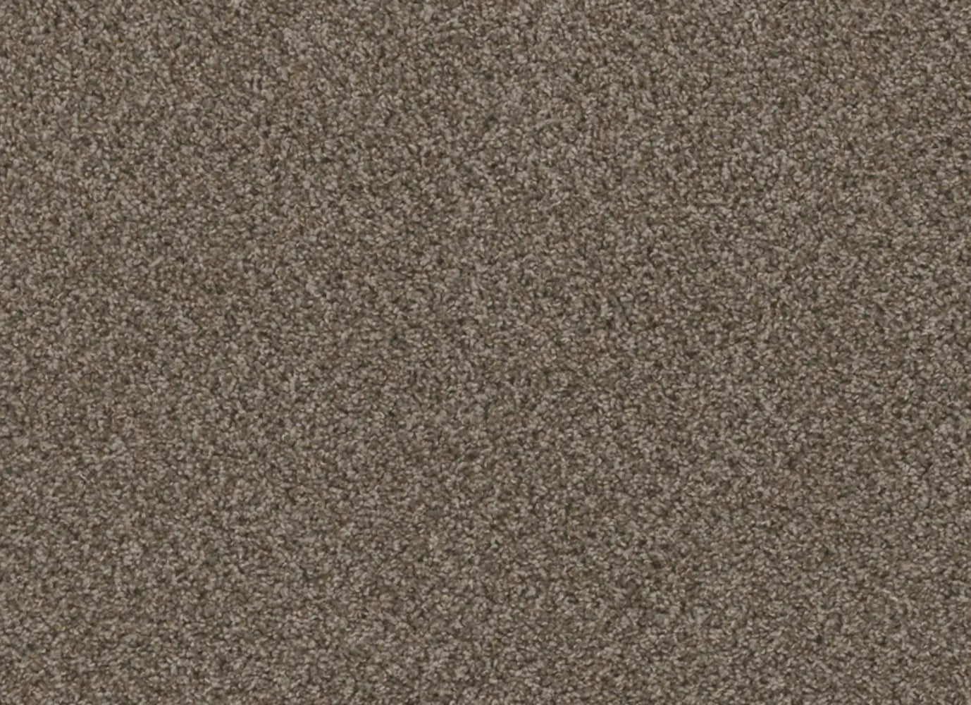 Hot Pursuit in Desert Jasper Carpet