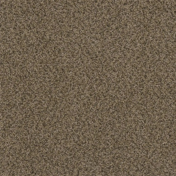 Fossil