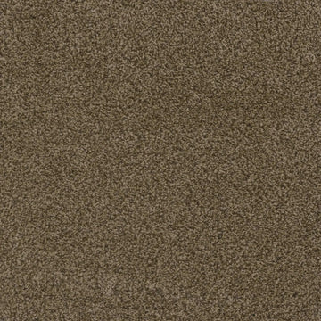 Bronzite