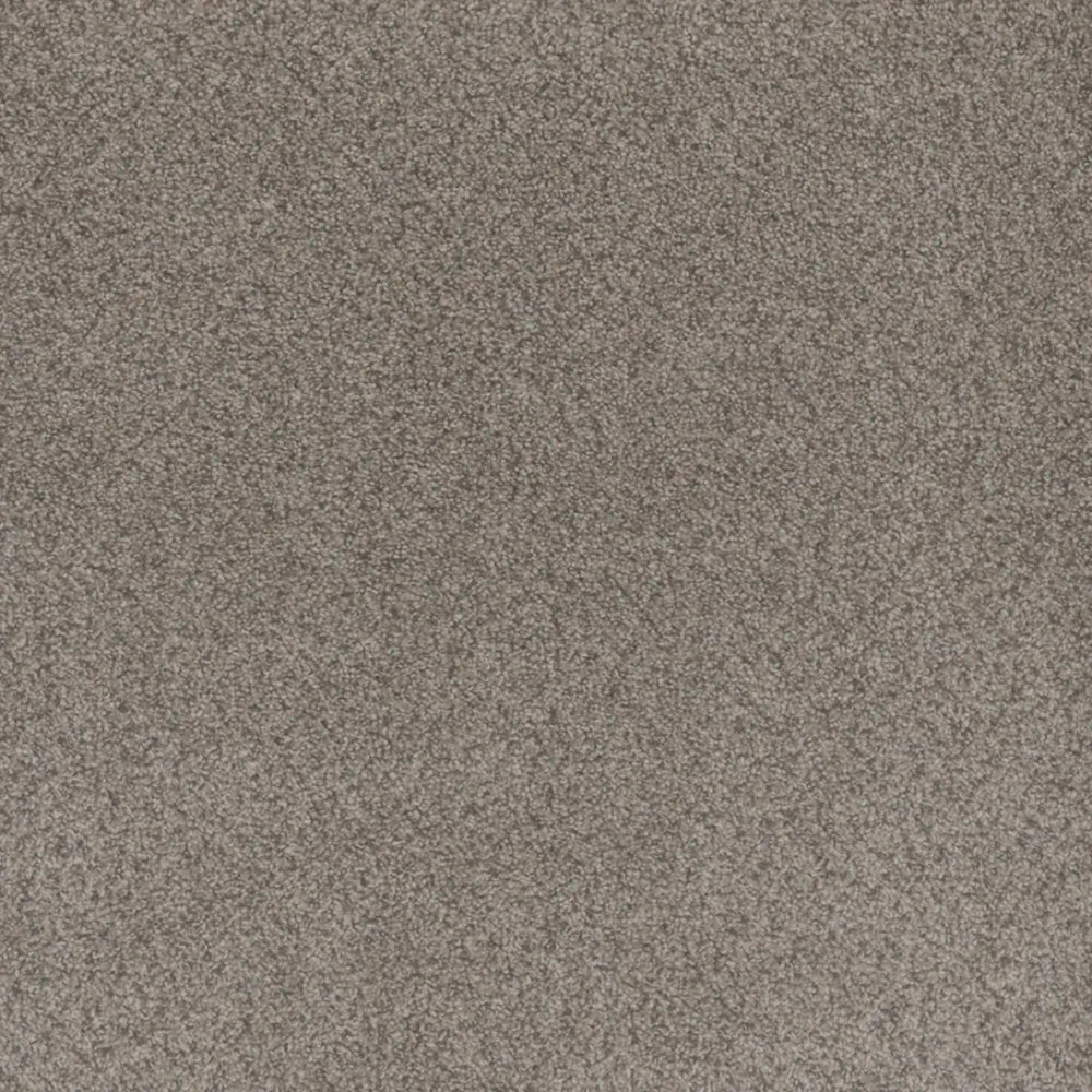 Beach Club II in Canyon Carpet