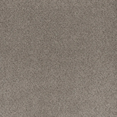 Beach Club II in Canyon Carpet