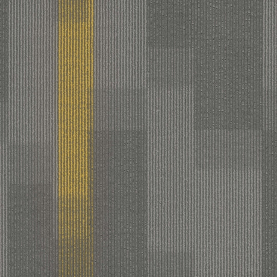 Amplify Tile