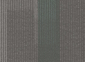 3146