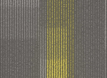 3144