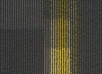 3144