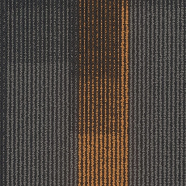 Magnify Plank in 3142 Carpet Tile