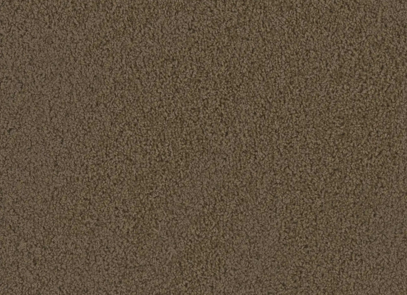 Tracker in Taupe Carpet