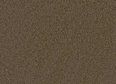 Tracker in Taupe Carpet