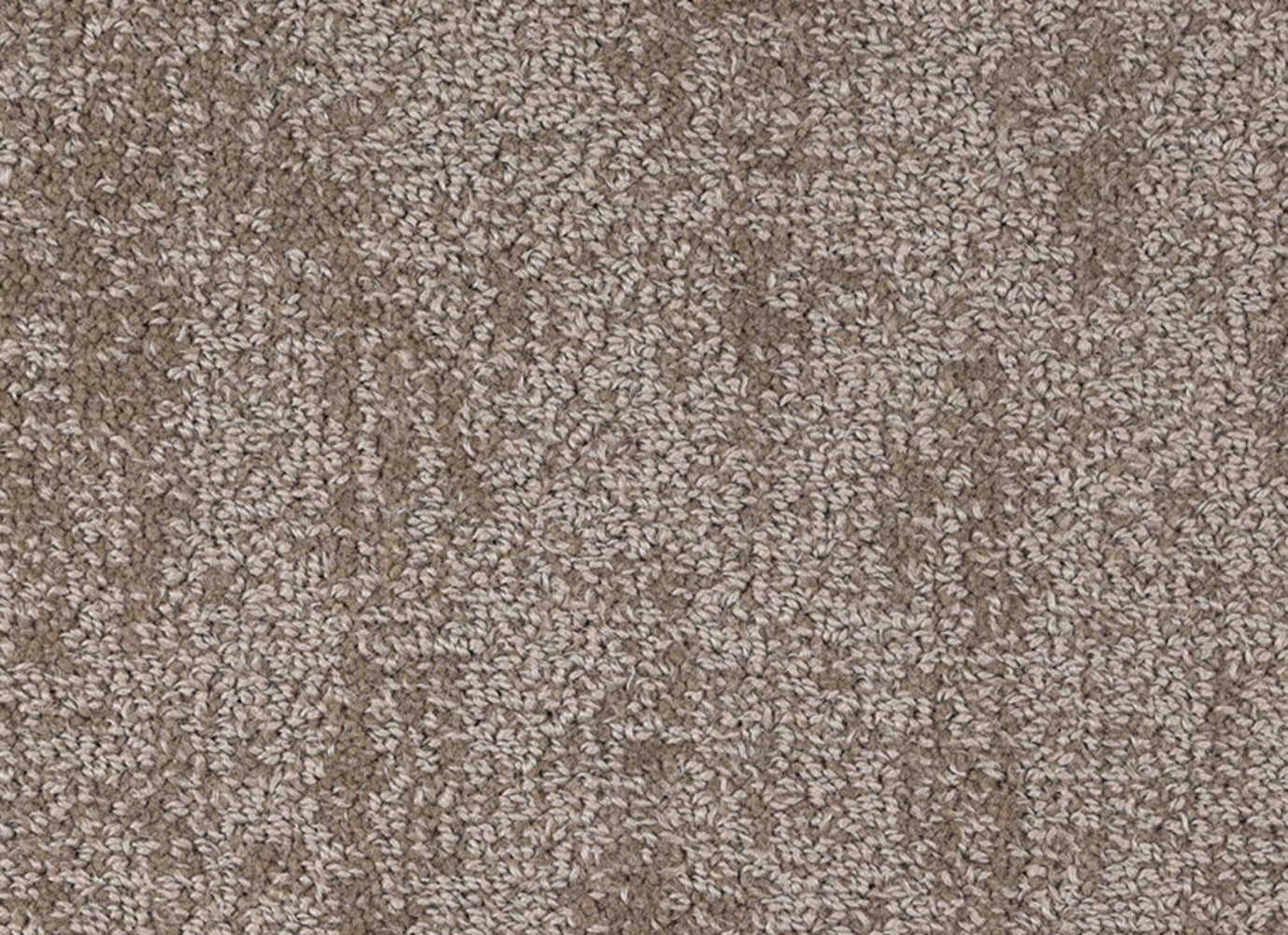 Noble in Iced Coffee Carpet