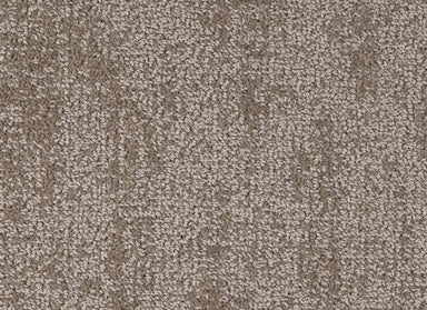 Noble in Iced Coffee Carpet