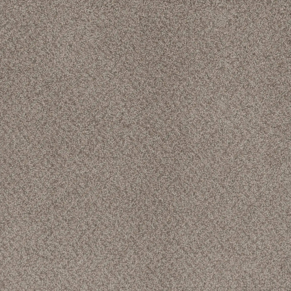 Beach Club III in Sahara Carpet