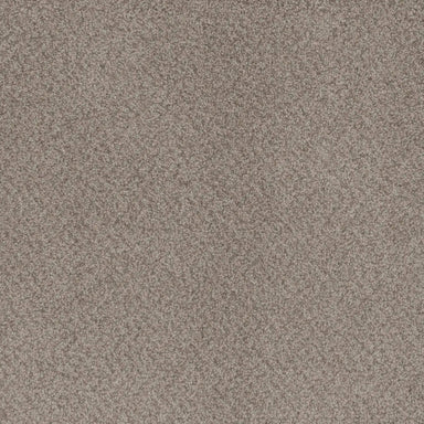 Beach Club III in Sahara Carpet