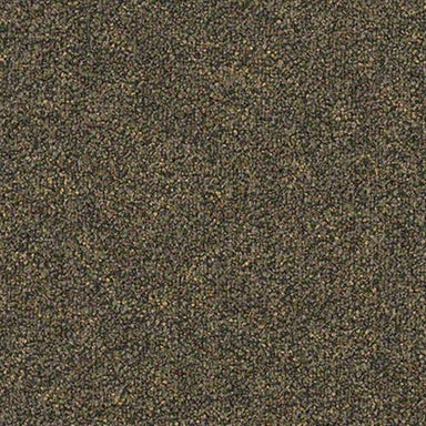 Sp284 in Transistor Carpet