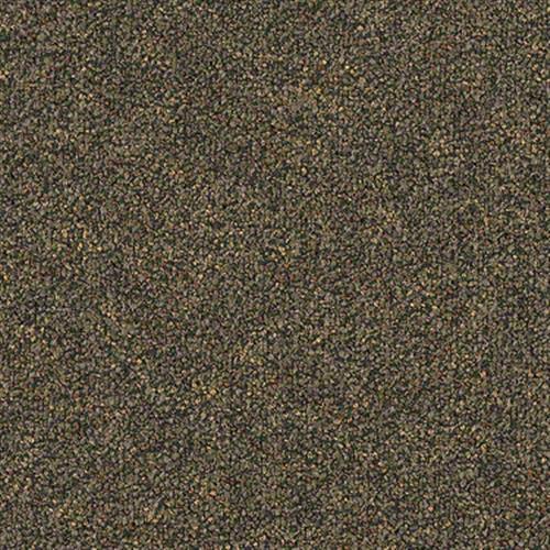 Sp284 in Transistor Carpet