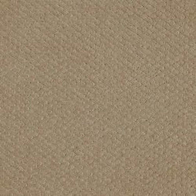 JENKINS WAY in Prairie Carpet