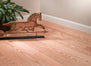 Hillshire in Natural 5" Red Oak