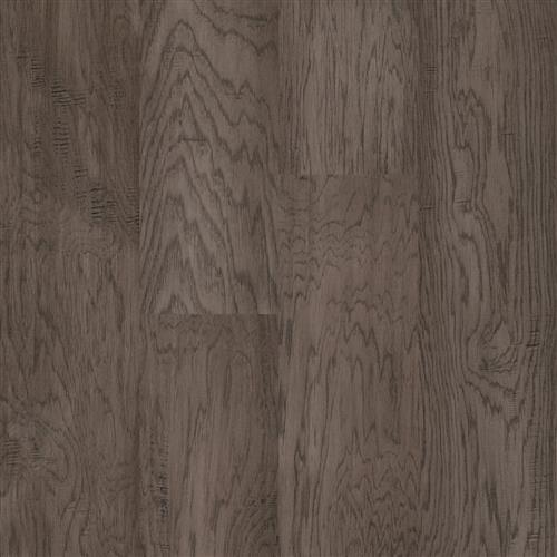 Harrington in Stonington