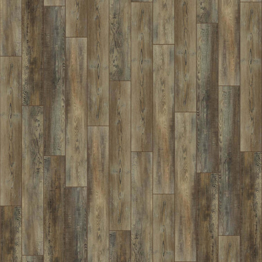 PANTHEON HD PLUS in Saggio