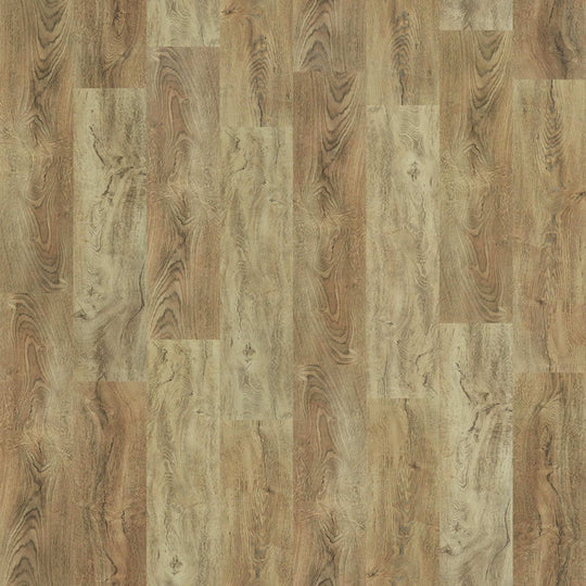 PANTHEON HD PLUS in Foresta