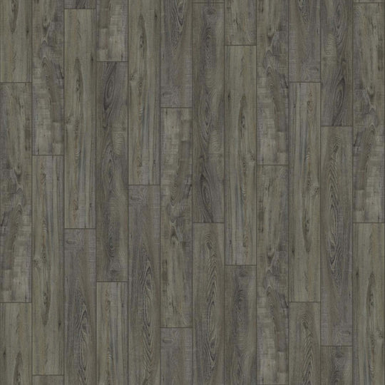 PANTHEON HD PLUS in Temporale