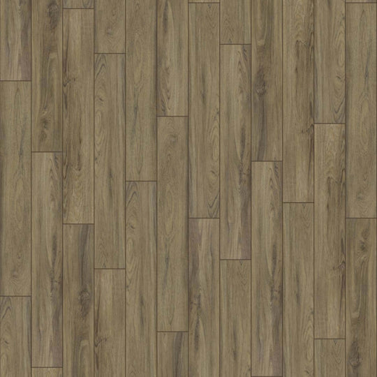 PANTHEON HD PLUS in Fiano