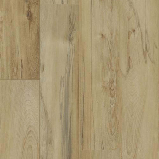 TITAN HD PLUS in Imperial Beech