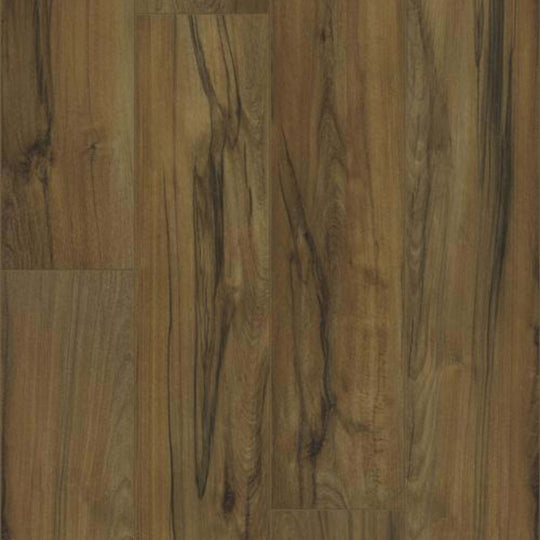 TITAN HD PLUS in Ancestry Beech